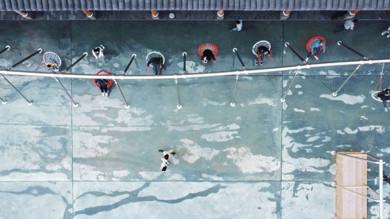 7.gif