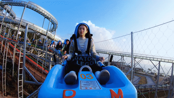 17.gif